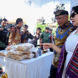 Deklarasi Desa Bersinar — foto 10