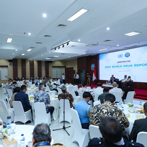 BRIEFING ON THE 2025 WORLD DRUG REPORT — foto 5